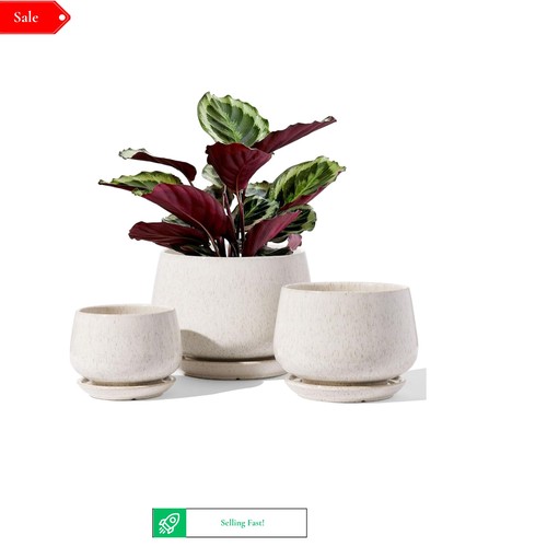 Tauci piece ceramic plant - tauci, 3-piece