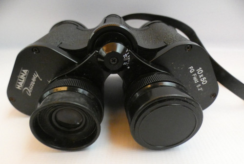 Pair vintage halina - pair,