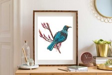 Tui New Zealand Honeyeater