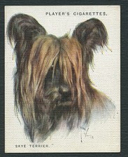 SKYE TERRIER JOHN PLAYERS 2nd SERIES DOG HEADS 1928 LARGE CIGARETTE CARD #18