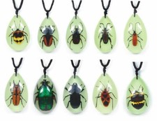 Real insect glow - glow, tear
