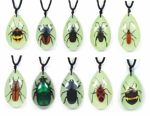 Real insect glow - insect, in