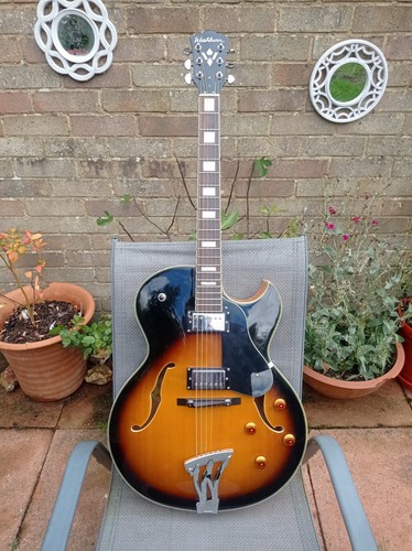 Washburn semi acoustic - washburn, t/s