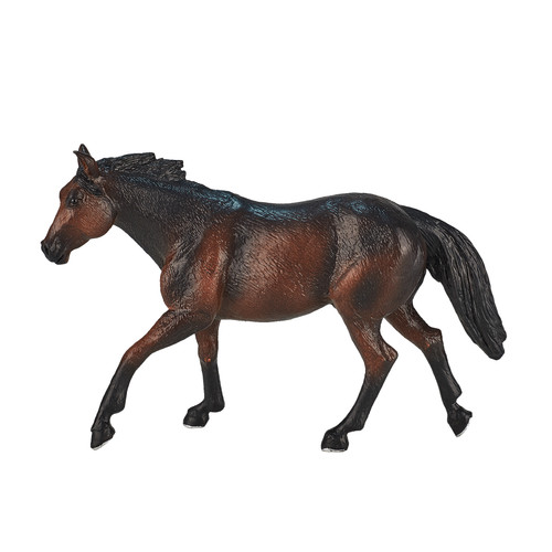 Quarter horse sooty bay - quarter,