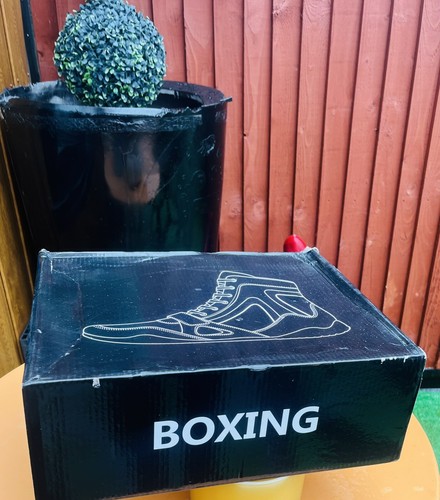 Boxing pro wrestling - /,