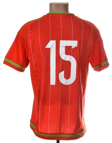 Wales 2014 2015 - 2014/2015, home