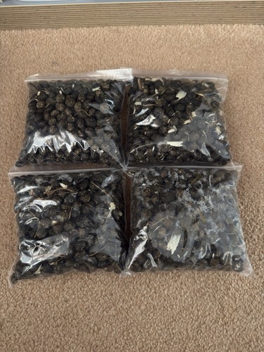 Organic cold manure - organic,