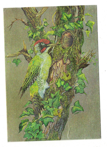 Dufex postcard green - dufex,