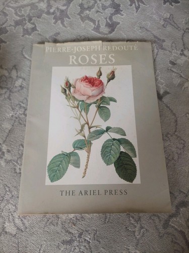 Roses flowers pierre - roses,