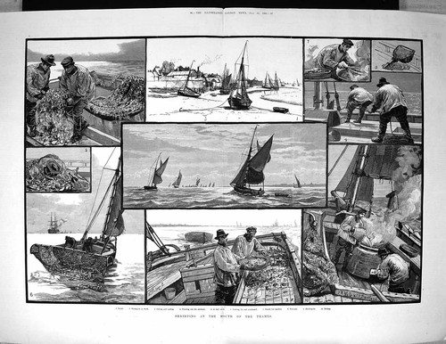 Old 1883 shrimping - old,