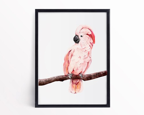 Watercolour cockatoo jungle - watercolour,