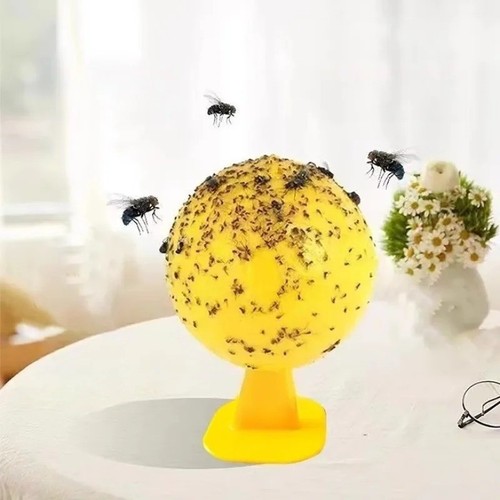 Pack indoor fly sticky traps - 3,