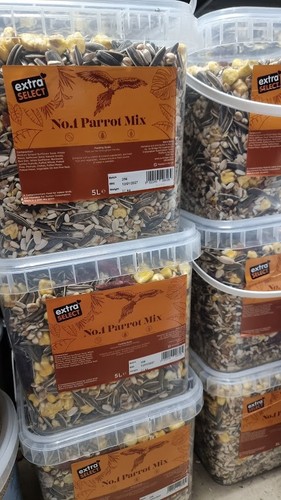 Premium no1 parrot - premium,