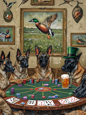Belgian Malinois Playing metal Poker sign, Belgian Malinois Plaque
