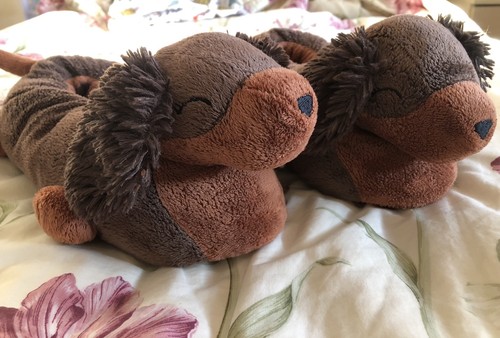 Next dachshund slippers size - dachshund,