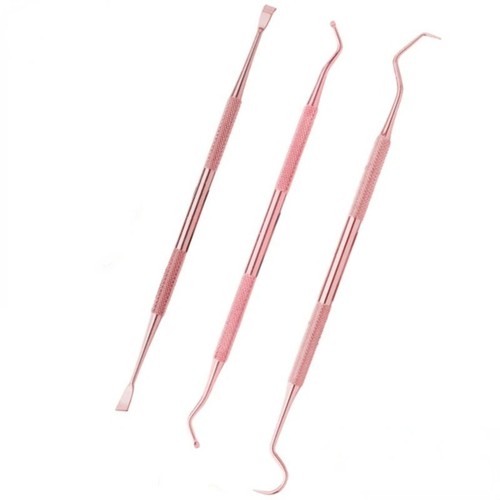 Dental veterinary dog pet - veterinary,
