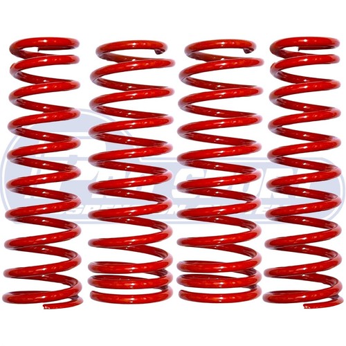 Pro sport lowering - lowering, springs