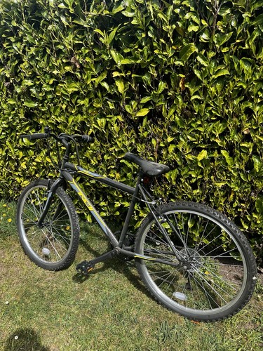 Indi kaisa men mountain bike - kaisa, men's
