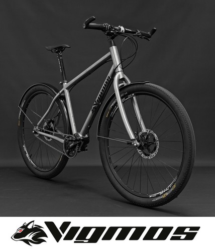 29er pinion bicycle titanium - pinion,