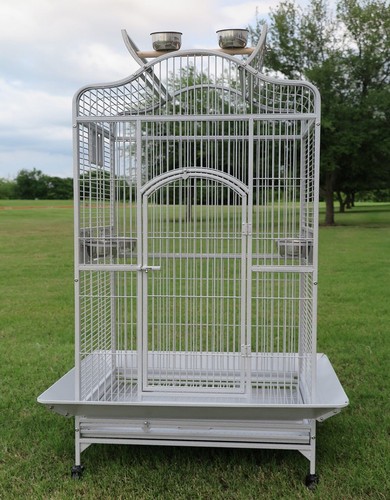 Large open play top bird - 63",