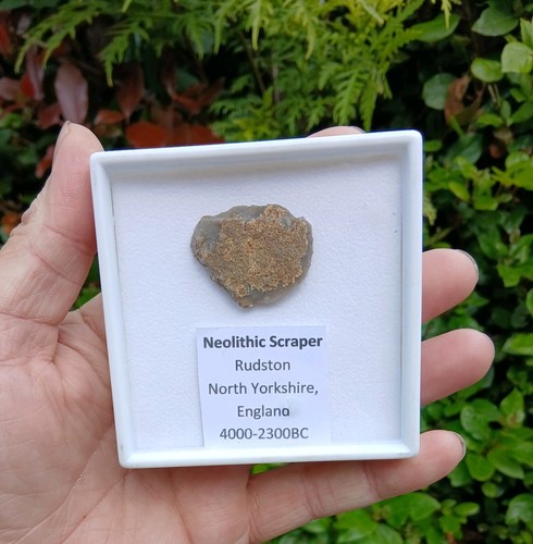 Neolithic tool scraper - , uk