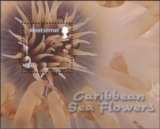 Montserrat 2006 Anemone/Caribbean Sea Flowers/Marine/Nature 1v m/s (b6745n)