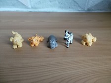 Animal Hospital On Location