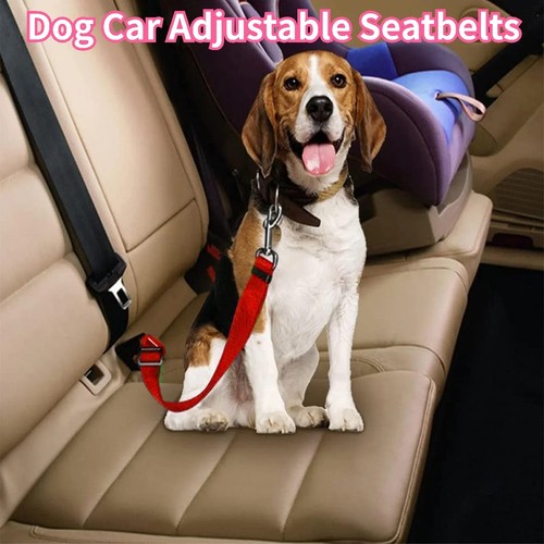 Adjustable dog car - adjustable, seat