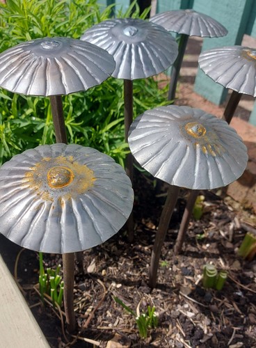 Solid steel garden mushrooms - garden,