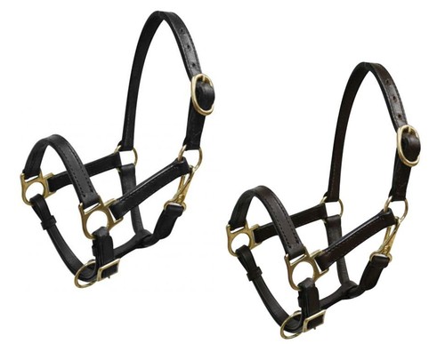 Leather halter mini horse - mini,