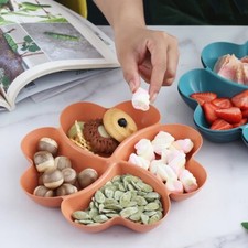 Divided Party Snack Plate
