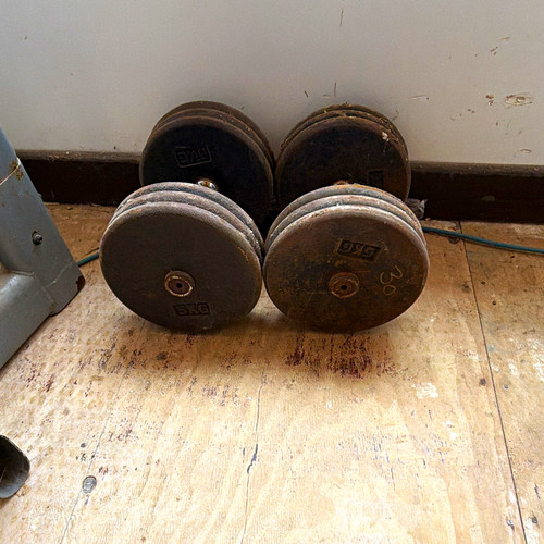 30kg weight dumbbell - pair, (2)
