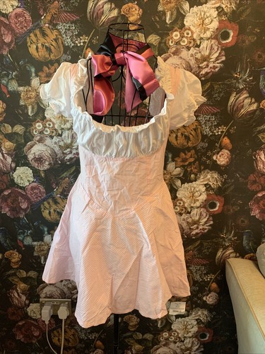 Adult fancy dress pink - adult,