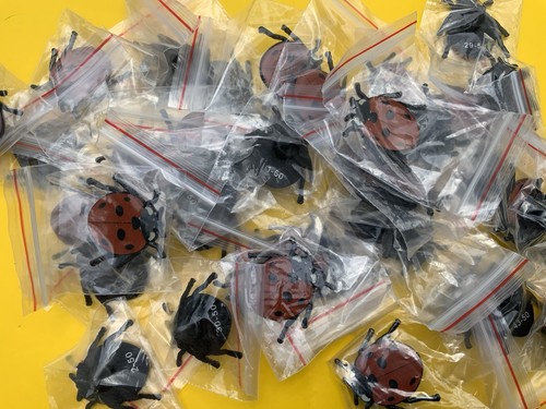 None rspb ladybird - none, 38