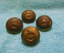 Queens Bays 2nd Dragoon