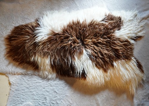 Icelandic sheepskin rug sun - -,