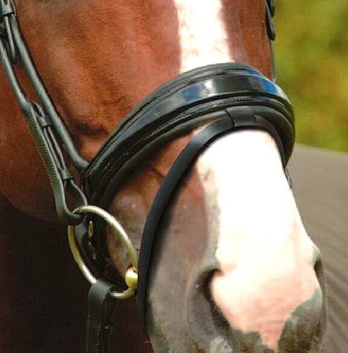 Fss noseband rolled cheeks - fss,