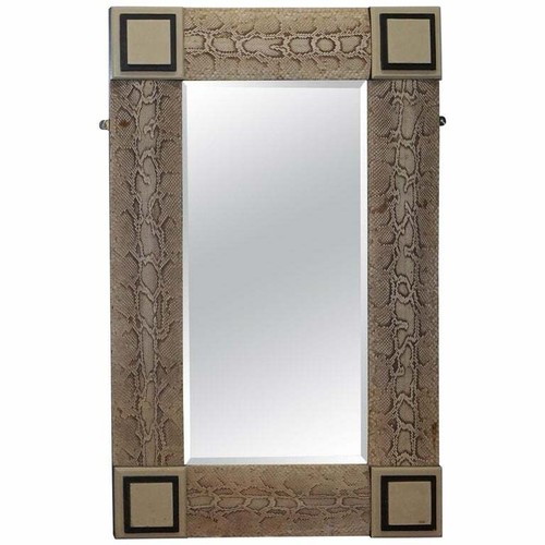 Rare vintage snakeskin - rare, mirror