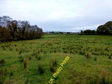 Photo 6x4 Rushy ground, Carony