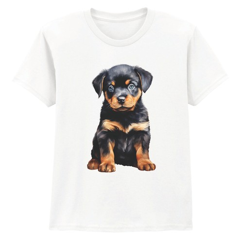 Cute rottweiler puppy boys - puppy,