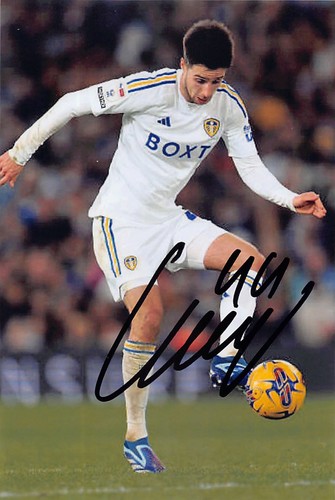 Ilia gruev signed - ilia,