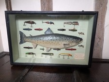 Taxidermy Fish. A Cased Salmon Trout 1964. With fishing lures. Oulton Broad UK.