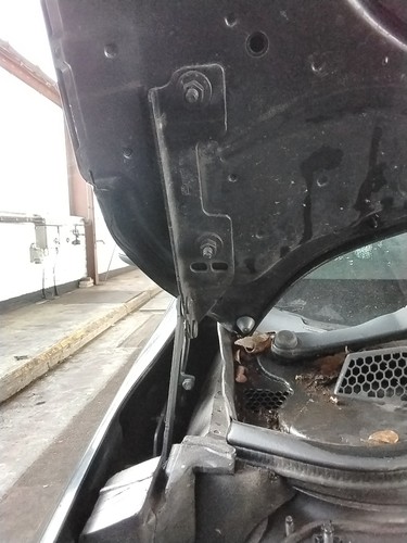 Bonnet hinge vauxhall - bonnet,