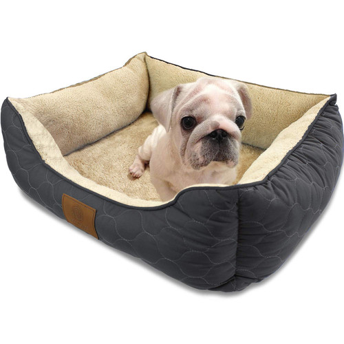 American kennel club - american,