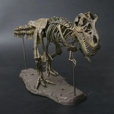 Tyrannosaurus Rex Skeleton Model Realistic PVC Dinosaur Collectible 70cm Decor