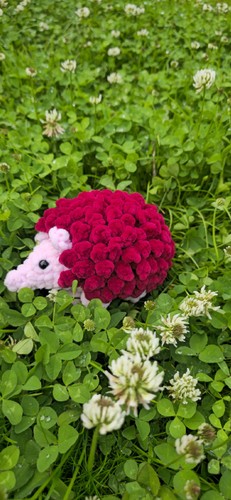 Crochet hedgehog plush toy - hedgehog,