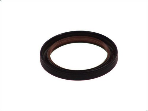 Shaft seal crankshaft - shaft, payen