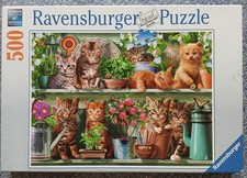 Cats on the Shelf