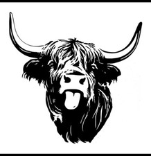 20” highland cow head decal