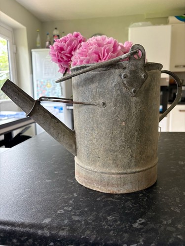 Vintage galvanised watering - vintage,
